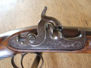 Westley richards & Colt 007 Westley richards & Colt 007